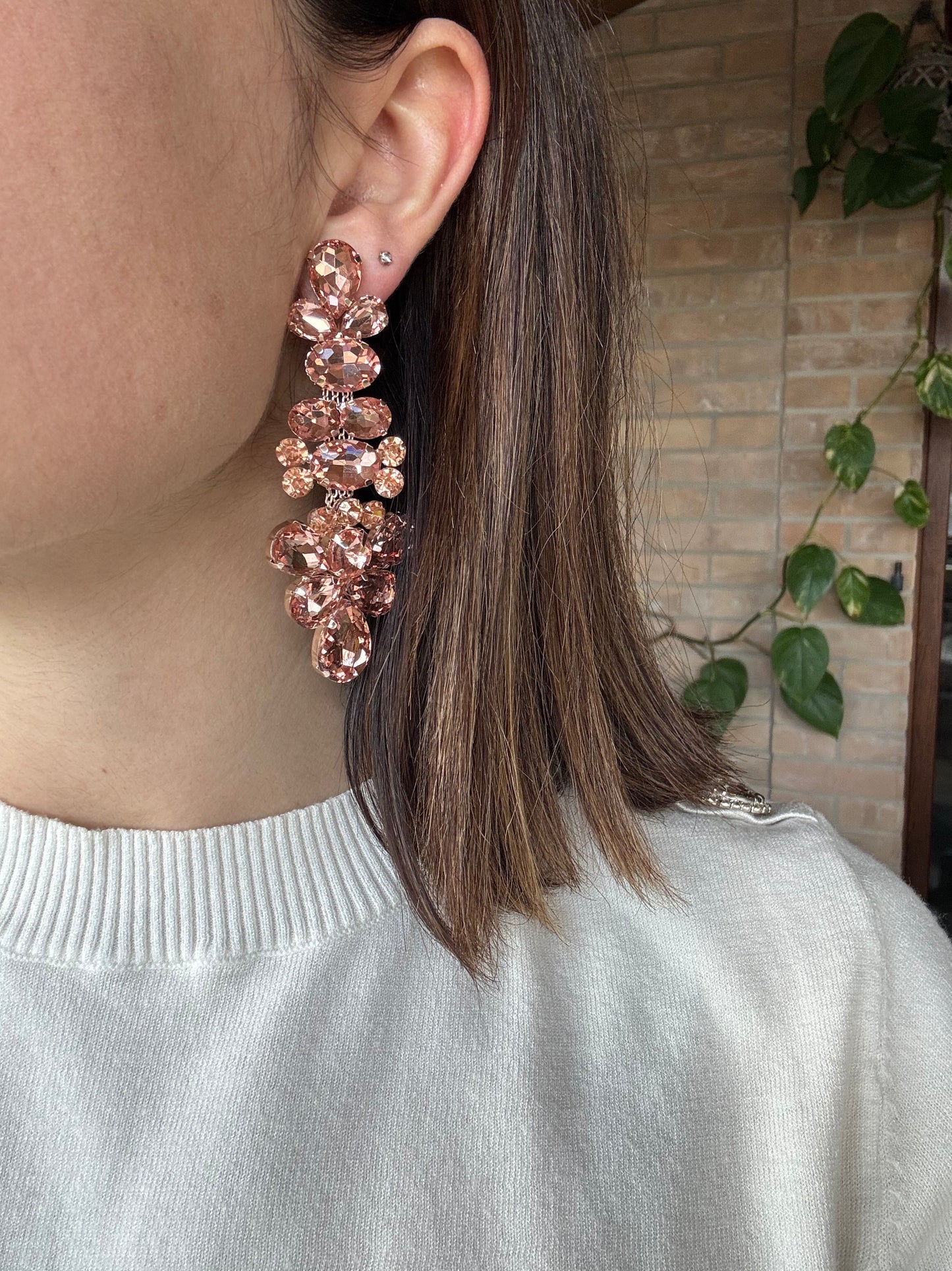 Orecchini con clip